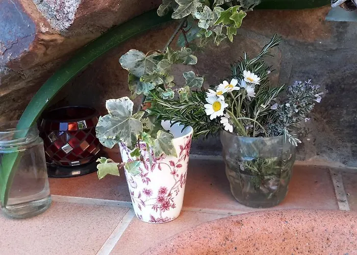 La Trucha Del Arco Iris El Acebo de San Miguel