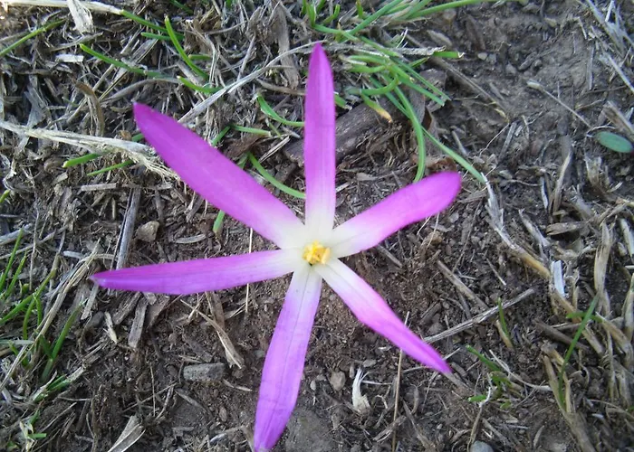 Nocleg ze śniadaniem La Trucha Del Arco Iris