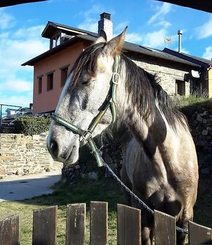 La Trucha Del Arco Iris Nocleg ze śniadaniem